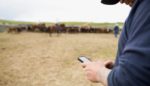 How Internet Co-ops Can Protect Us From Net Neutrality Rollbacks