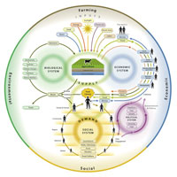 Nourish Food Systems Map