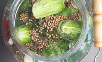 Pickles by Susy Morris