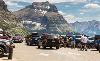 Logan-Pass.gif