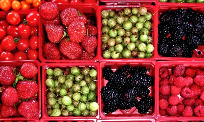 Summer Garden.jpg