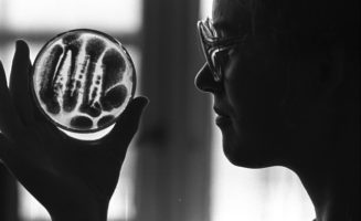 Small Acts of Scientific Civil Disobedience
