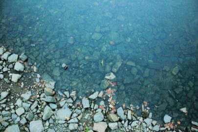 Haley Rivera river.jpg