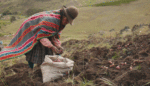 Photo Essay: Indigenous Farmers Gather  in the Andes to Plan for Climate Change
