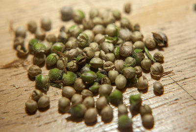 Seeds photo by Prensa 420 / Flickr.