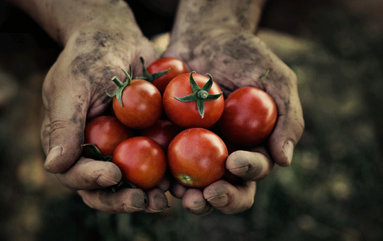 Photo by Shutterstock.