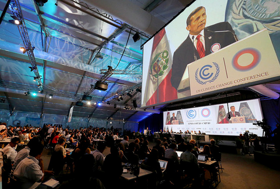 COP20 in Lima