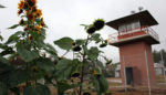 Homes and Gardens: The Best Thing to Ever Happen to a Prison Site