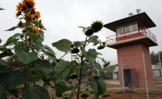 homesgardens_primary.jpg