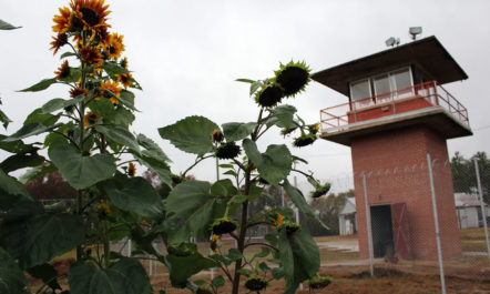 homesgardens_primary.jpg