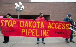 DAPL.jpg