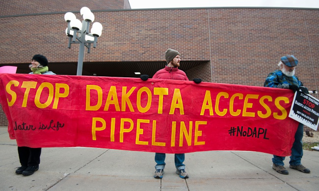 DAPL.jpg