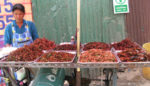 Edible Insects: Gross-Out or Global Food Solution?