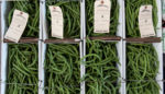 How a Fruit and Vegetable Auction in Rural Ohio Helps Appalachian Farmers Thrive