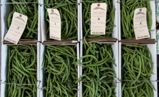Green beans by Brooke Herbert Hayes.