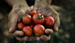 Forget Nutraloaf—Prisoners Are Growing Their Own Food