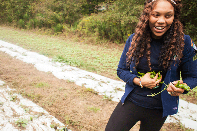 After a Century In Decline, Black Farmers Are Back And On the Rise