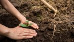 The Second Best Time to Plant a Tree Is Now