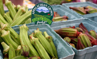 Appalachian grown okra. Photo by ASAP.