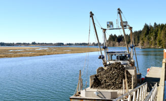 1.oysterboat.JPG