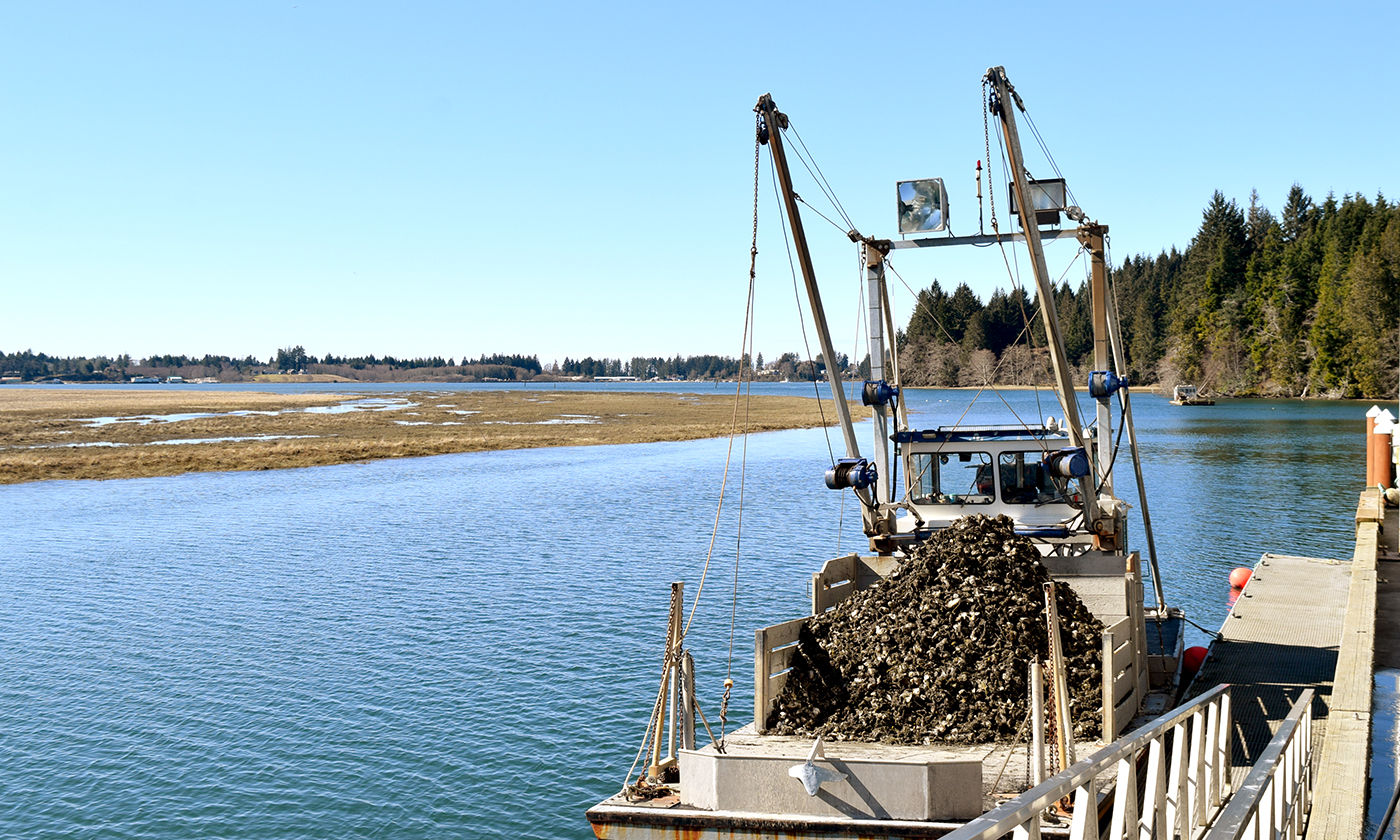 1.oysterboat.JPG