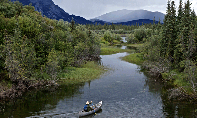 Arctic Waters Have Been Rescued From Drilling, But What About the Land?