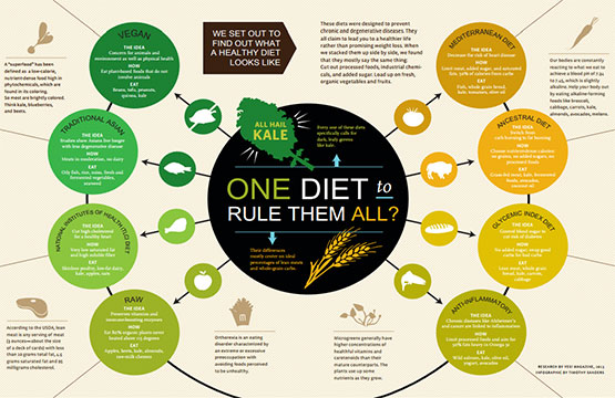 One Diet Poster