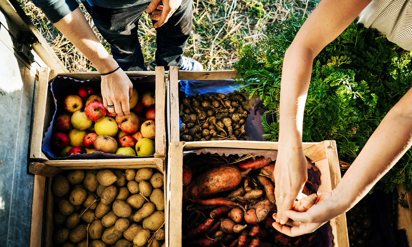 everybody-eats-how-a-community-food-system-works-yes-magazine