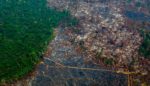 Brazil’s Indigenous Peoples Have Long United Against Deforestation