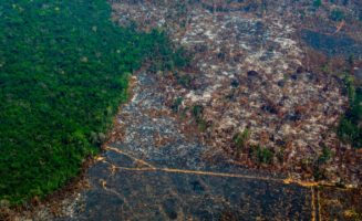 amazon-fire-brazil.jpg