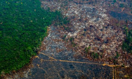 amazon-fire-brazil.jpg