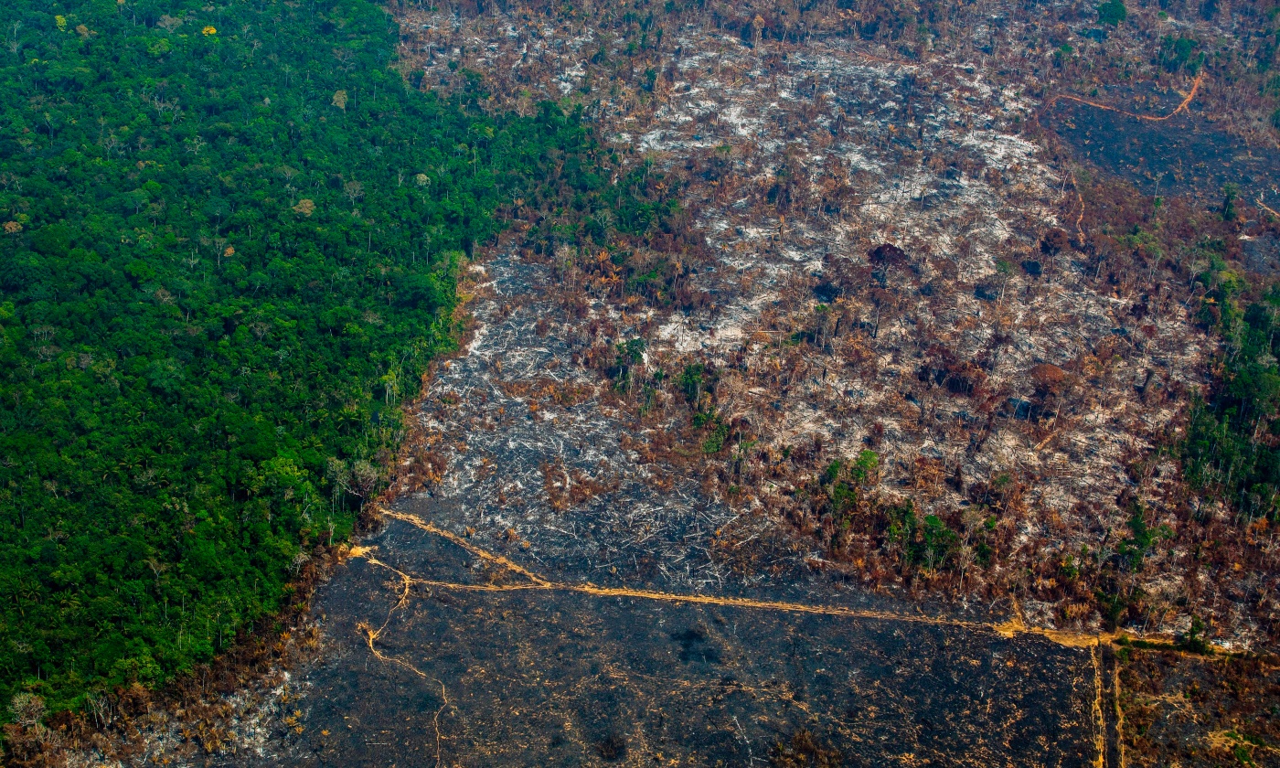 amazon-fire-brazil.jpg
