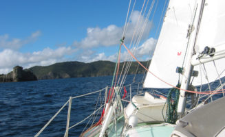 Deck of the Velella
