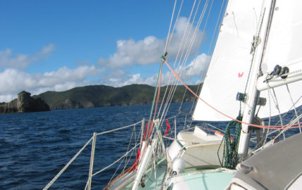 Deck of the Velella