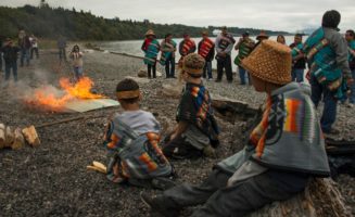 Washington Tribes.jpg