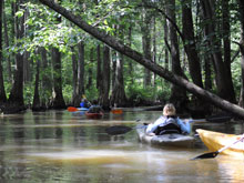 Margo Farnsworth kayaking