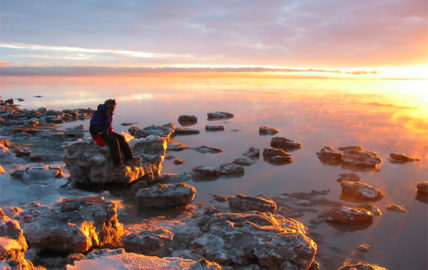 Icebergs at sunset
