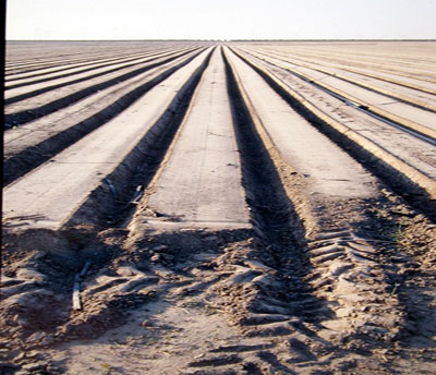 Industrial Farming Visual Learning