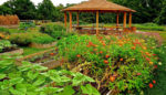 In One of the Nation’s Unhealthiest Places, This Hospital Prescribes Fresh Food From Its Own Farm