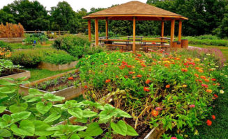 The Deaver Wellness Farm at Lankenau Medical Center. Photo courtesy of Lankenau.