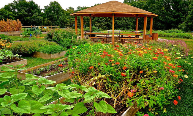 The Deaver Wellness Farm at Lankenau Medical Center. Photo courtesy of Lankenau.