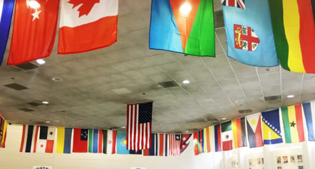 FosterFlags.jpg