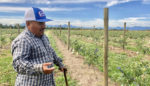 Berry Farmers Break Free From Big Agriculture