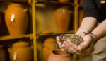 Borrow, Save, Share: 3 Ways Seeds Can Democratize Our Food System