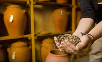 seed-saving-by-du-vinage-650.jpg