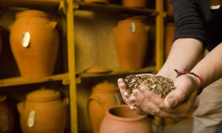 seed-saving-by-du-vinage-650.jpg