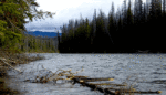 Big Oil and Gas Want Them Out, But One Small Clan Is Standing Up to Pipeline Expansion