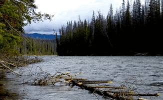 UNIRiver_1920_650.gif
