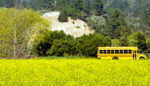 Next Stop for Retired School Buses: Tiny Houses for Homeless Families
