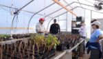This Isn’t Just Another Urban Farm—It’s a Food Bank